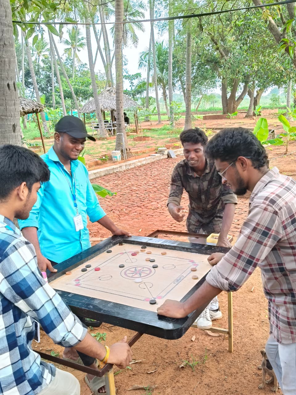 RORIRI Camp Moment 4